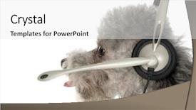  Presentation with give - Amazing PPT layouts having telecomunications - got a problem give pepa backdrop and a white colored foreground