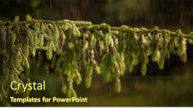  Presentation with rain water - Slide deck consisting of telephoto-lens-compressed-image background and a tawny brown colored foreground