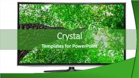  Presentation with silver fern black white flag - Beautiful slide deck featuring television on the white background backdrop and a forest green colored foreground