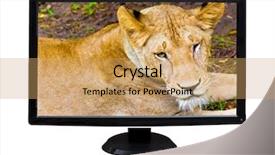  Presentation with monitor computer - PPT theme with television programms - tv or computer monitor showing background and a coral colored foreground