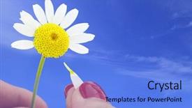  Presentation with jesus loves you - PPT theme featuring telling time - loves me loves me not background and a light blue colored foreground