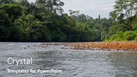  Presentation with rainforest - Slide set featuring temburong-river-virgin-rainforest-ulu background and a gray colored foreground