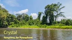  Presentation with rainforest - Cool new presentation theme with temburong-river-virgin-rainforest-ulu backdrop and a tawny brown colored foreground