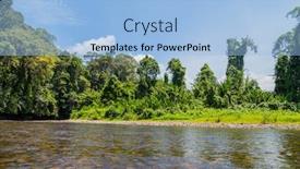  Presentation with rainforest - Presentation theme consisting of temburong-river-virgin-rainforest-ulu background and a light blue colored foreground