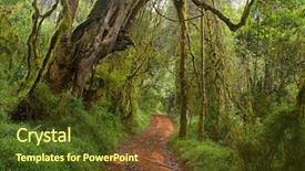  Presentation with forest in africa - Audience pleasing presentation consisting of temperate cloud forest in limpopo backdrop and a  colored foreground