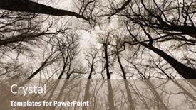  Presentation with oak forest - PPT layouts featuring temperate-oak-tree-forest background and a  colored foreground