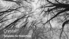  Presentation with oak forest - Theme enhanced with temperate-oak-tree-forest background and a  colored foreground