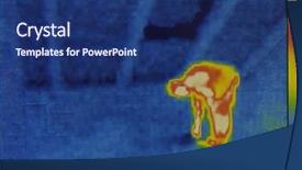  Presentation with temperature sensor - Amazing PPT layouts having temperature sensor - thermal image of human backdrop and a navy blue colored foreground