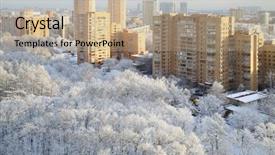  Presentation with black and white trees - PPT theme with temperature trafiic - frozen white trees in park background and a  colored foreground