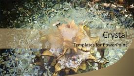  Presentation with thailand - Amazing slide set having temple in chiang rai thailand backdrop and a coral colored foreground