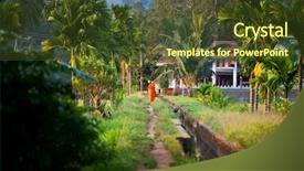  Presentation with sri lanka - Cool new theme with brahman - temple in jungle sri lanka backdrop and a tawny brown colored foreground