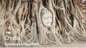  Presentation with fig tree - Presentation theme with temple thailand - buddha head overgrown by fig background and a coral colored foreground