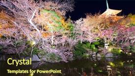  Presentation with sakura - Presentation theme featuring temple with sakura at night background and a  colored foreground