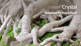  Presentation with banyan tree - Beautiful slide set featuring couple kissing against the backdrop of the city by the lake backdrop and a light gray colored foreground