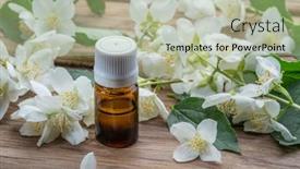  Presentation with jasmine - Beautiful PPT layouts featuring tender-jasmine-flowers-and-jasmine backdrop and a mint green colored foreground