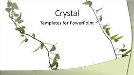  Presentation with frame border - Presentation theme consisting of tendril - border frame made of green background and a white colored foreground