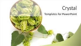  Presentation with bowl - Audience pleasing PPT theme consisting of tendril - bowl full of hop cones backdrop and a white colored foreground