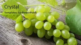  Presentation with bunch - Audience pleasing presentation consisting of tendril - bunch of grapes backdrop and a yellow colored foreground