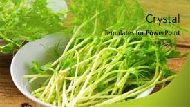  Presentation with green pea plant - Slide deck having tendril - detail of fresh green pea background and a gold colored foreground