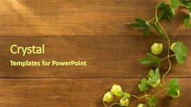  Presentation with wooden - Audience pleasing slide set consisting of tendril - hop cones on wooden background backdrop and a tawny brown colored foreground
