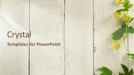  Presentation with wooden - Slide set consisting of tendril - hop cones on wooden background background and a sky blue colored foreground