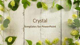  Presentation with wooden - Audience pleasing PPT theme consisting of tendril - hop cones on wooden background backdrop and a soft green colored foreground
