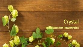  Presentation with rustic wood wooden frame - Presentation design with tendril - hop cones on wooden background background and a tawny brown colored foreground