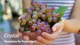  Presentation with grape - Beautiful PPT theme featuring tendril - juicy bunch of red grape backdrop and a red colored foreground