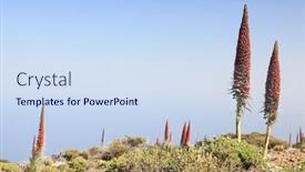  Presentation with plant - Theme consisting of tenerife-volcanic-flora-vegetation background and a sky blue colored foreground
