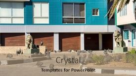  Presentation with pavement - Presentation theme having tens-of-guineafowls-walking-nuisance background and a coral colored foreground