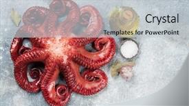  Presentation with octopus - Colorful slide deck enhanced with tentacle - raw octopus cooking with spices backdrop and a light gray colored foreground