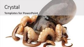  Presentation with octopus - Cool new PPT theme with tentacle - small octopus isolated on white backdrop and a light gray colored foreground