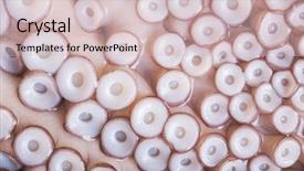  Presentation with abstract close up soap bubble - Colorful PPT theme enhanced with tentacles of octopus close-up backdrop and a lemonade colored foreground