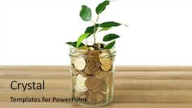  Presentation with table meal plan for osteotphorosis - Amazing slide deck having tenure - plant growing in bowl backdrop and a coral colored foreground