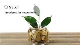  Presentation with table meal plan for osteotphorosis - Slide set featuring tenure - plant growing in bowl background and a white colored foreground
