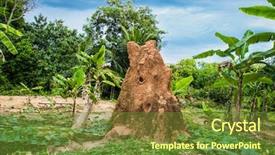  Presentation with sri lanka - Colorful presentation theme enhanced with termitary termites nest in jungle backdrop and a tawny brown colored foreground