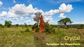  Presentation with termite - Slides with termite mount in tarangire national park tanzania africa background and a tawny brown colored foreground
