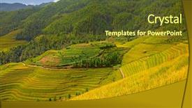  Presentation with dragon - PPT theme with longsheng rice terraces dragon's background and a tawny brown colored foreground