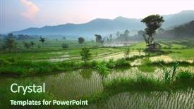  Presentation with bali culture - Colorful slide deck enhanced with terrace in mountains bali indonesia backdrop and a tawny brown colored foreground