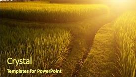  Presentation with rice fields - Slide deck featuring terrace paddy rice fields background and a tawny brown colored foreground