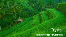  Presentation with rice fields - Slide deck with terrace rice fields bali indonesia background and a  colored foreground