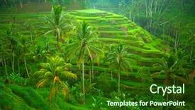  Presentation with rice field - Theme having terrace rice fields on bali background and a forest green colored foreground