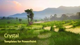  Presentation with bali culture - Colorful presentation theme enhanced with terraces and trees bali indonesia backdrop and a tawny brown colored foreground