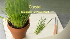  Presentation with fresh cut fruits vegetables - Slides having terracotta pot with fresh cut background and a tawny brown colored foreground