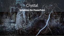  Presentation with raven black - Slides featuring terrible-forest-sorcerer background and a dark gray colored foreground