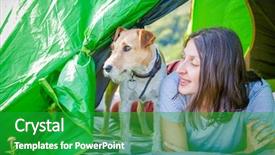  Presentation with cute cat and dog - Theme enhanced with terrier dog in the mountain background and a  colored foreground