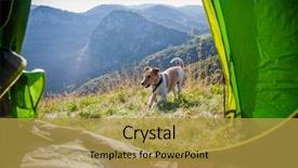  Presentation with camping - Theme featuring terrier dog in the mountain background and a  colored foreground