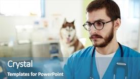  Presentation with test - Amazing theme having test dog - serious doctor in uniform looking backdrop and a teal colored foreground