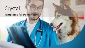  Presentation with medical kidney radiology - Amazing slide deck having test dog - vet radiologist showing his patient backdrop and a mint green colored foreground