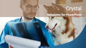  Presentation with vet - Beautiful presentation theme featuring test dog - vet showing x-ray image backdrop and a coral colored foreground